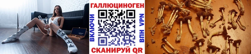 гидра tor  где купить наркоту  Почеп  Псилоцибиновые грибы Psilocybine cubensis 