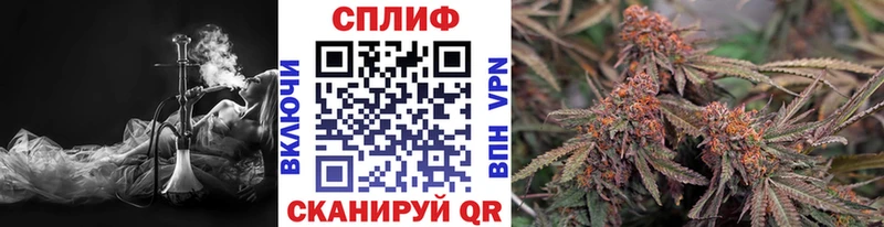 купить   площадка формула  Марихуана VHQ  Почеп 
